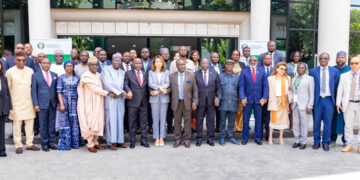 Ecowas Energy Minister