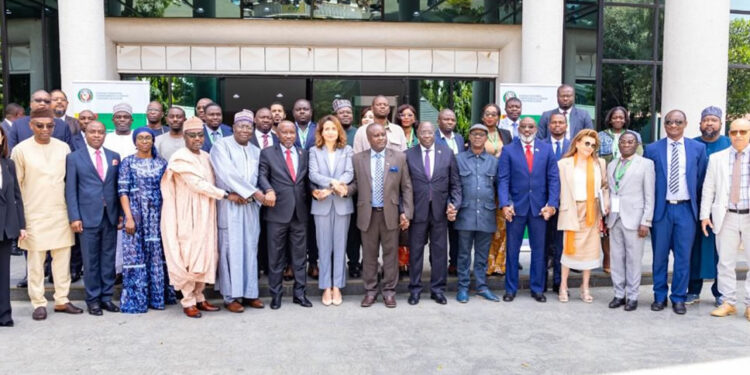 Ecowas Energy Minister