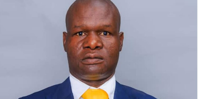 an article for zambia