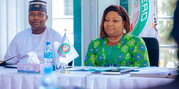 West and East Africa Join Forces: ECOWAS Parliament Proposes New Alliance in Arusha