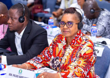 ECOWAS Not Doing Well on Climate Change, Senator Banigo Warns, Calls for Concrete Action