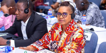 ECOWAS Not Doing Well on Climate Change, Senator Banigo Warns, Calls for Concrete Action